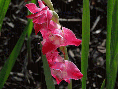 TK Digital Photography sample images